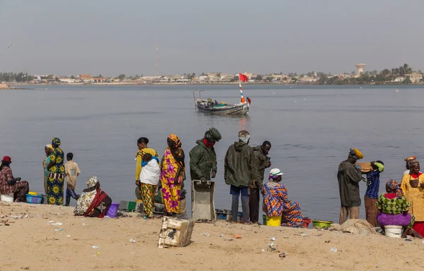 塞内加尔达喀尔 人们在西非达喀尔海滩上买卖刚上岸的鱼 — 图库照片