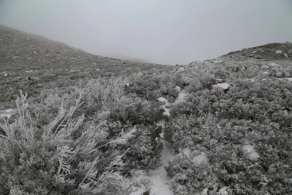 Vinterlandskap Med Snö Bergen Serra Geres Naturpark Portugal — Stockfoto