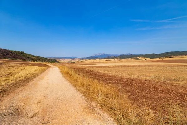 Rural Road Spanish Countryside Agricultural Fields Wheat Harvest Season Navarra — Stock Photo, Image