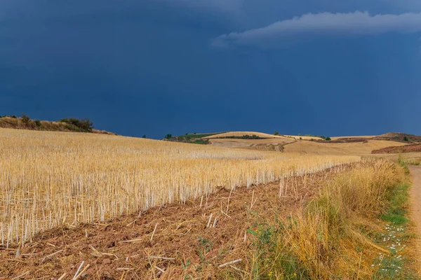 小麦の収穫期の後 農業分野の間でスペインの田舎道 スペインのナバラ — ストック写真