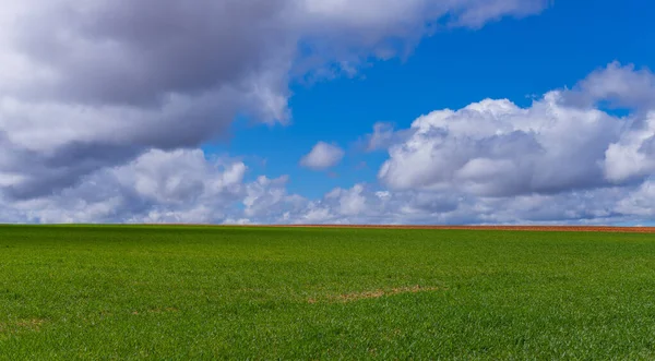 Grönt Fält Och Himlen Zamora Nära Puebla Sanabria Spanien — Stockfoto