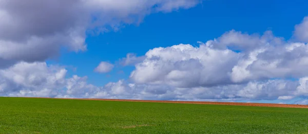 Зеленое Поле Небо Саморе Недалеко Пуэбла Санта Испания — стоковое фото