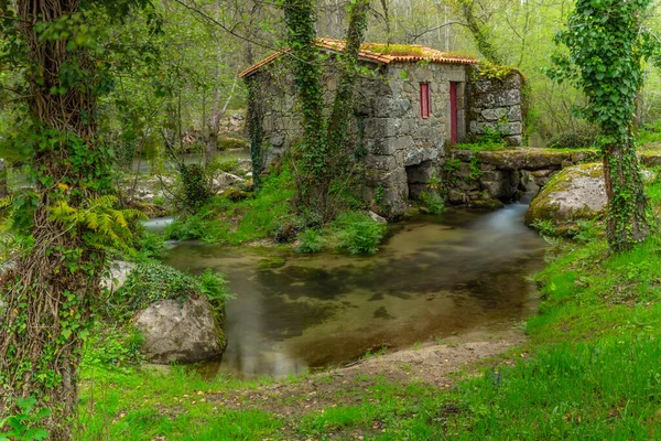 Ancien Moulin Eau Homem River Amares Portugal — Photo