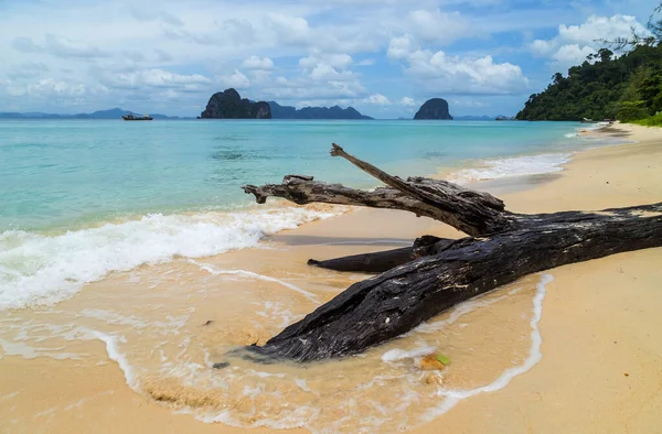 Koh ngai adasındaki cennet kumsalı, Trang, Tayland