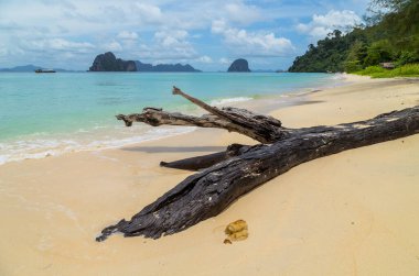 Koh ngai adasındaki cennet kumsalı, Trang, Tayland