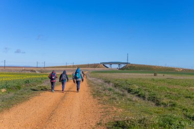 Navarre, İspanya: Seyyahlar St. James hac yolu olan Camino De Santiago boyunca yürürler, Navarra, İspanya.