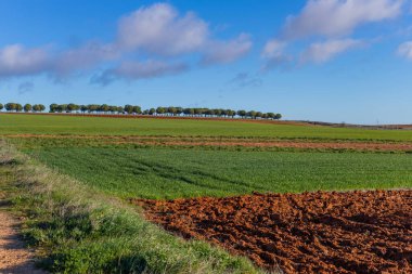 Zamora 'da yeşil alan ve gökyüzü, Puebla de Sanabria, İspanya yakınlarında.