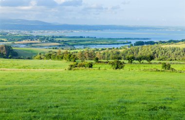 Dungarvan, İrlanda yakınlarındaki kırsal, tarlalar, tepeler ve deniz manzarası göz kamaştırıcı..