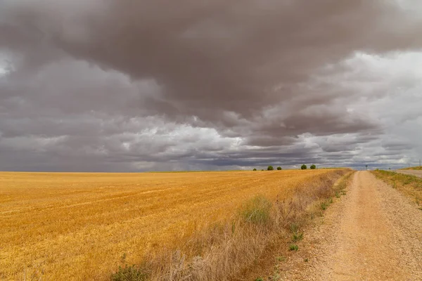 Venkovská Silnice Španělském Venkově Mezi Zemědělskými Poli Období Sklizně Pšenice — Stock fotografie
