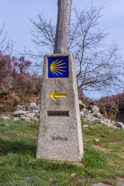 Sarı deniz tarağı kabuğu, Camino de Santiago 'nun turistik sembolü Camino Norte, İspanya' yı gösteriyor. St. James hac yolunda Santiago De Compostela 'ya giden yolda kayalar var.