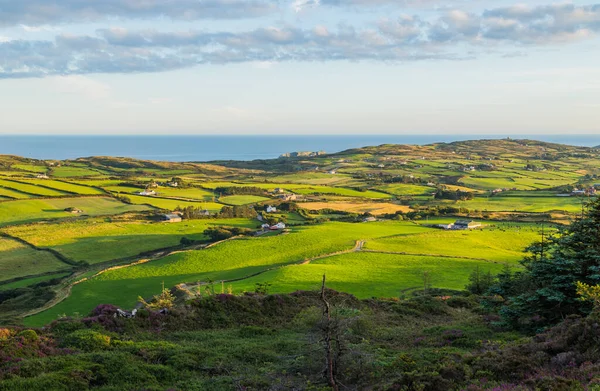 Landskap Vid Kusten Nära Lough Hyne West Cork Vid Solnedgången — Stockfoto