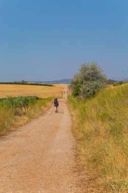 Navarre, İspanya: Seyyahlar St. James hac yolu olan Camino De Santiago boyunca yürürler, Navarra, İspanya.