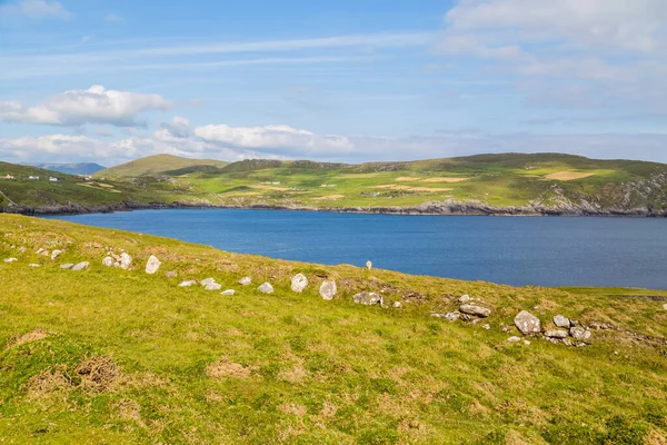 Gröna Kullar Atlanten Solig Vårdag Blå Himmel Över Havskusten Irlands — Stockfoto