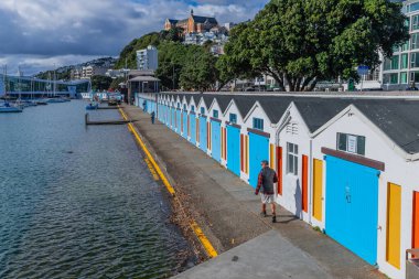 Wellington, Yeni Zelanda 'da Wellington' ın Oriental Körfezi 'ndeki eski mavi kapılarıyla arka arkaya tekne barakaları. Yeni Zelanda.