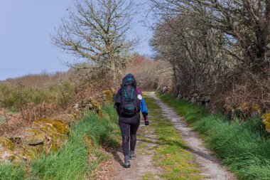 Navarre, İspanya: Seyyah Camino De Santiago boyunca yürü, St. James hac yolu, Navarre, İspanya.