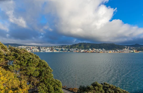 ウェリントン 建物や丘の中腹の住居の風景です ニュージーランド — ストック写真
