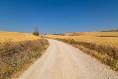 İspanyol kırsal kesiminde kırsal yol tarlaların arasında, buğday toplama mevsiminden sonra. Navarra, İspanya