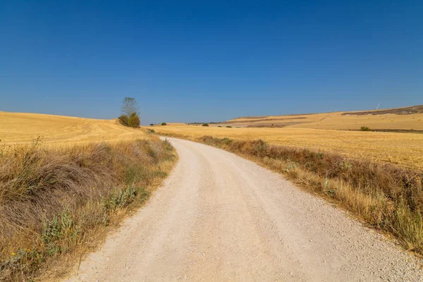 Rural Road Spanish Countryside Agricultural Fields Wheat Harvest Season Navarra — Fotografia de Stock