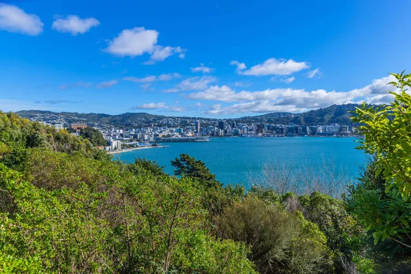 Widok Wellington Budynki Rezydencje Wzgórzu Nowa Zelandia — Zdjęcie stockowe