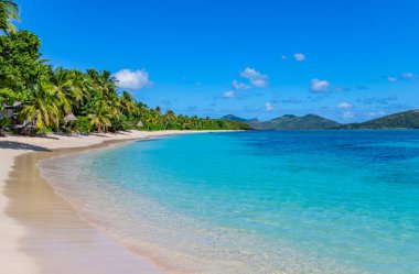 Palm trees and sea in Nacula Island, part of the Yasawa Island group in Fiji clipart