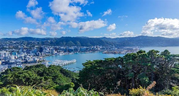 ニュージーランドのノースアイランド マウントビクトリアから首都ウェリントンを見下ろす — ストック写真