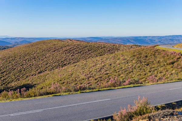 Droga Szczycie Gór Galicja Północ Hiszpanii — Zdjęcie stockowe