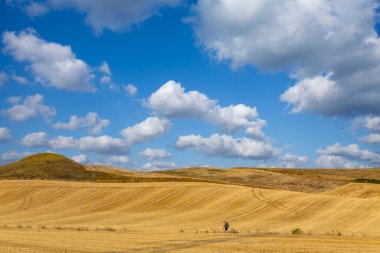 Navarre, İspanya: Seyyah Camino De Santiago boyunca yürü, St. James hac yolu, Navarra, İspanya.