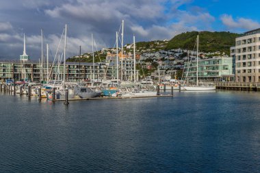 Wellington, Yeni Zelanda, Wellington Limanı 'nda ahşap yığınlarına demirlemiş yelkenli tekneleri var. Wellington, Yeni Zelanda.