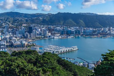 Wellington, Yeni Zelanda: Yeni Zelanda 'daki Victoria Dağı' ndan Wellington başkentine bakın