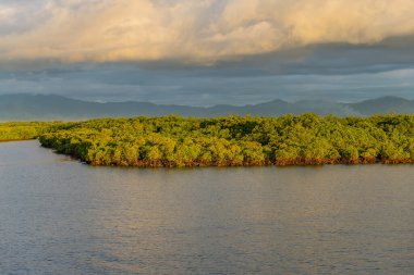 Mangrovlar ve arkasında dağlar olan yemyeşil bitki örtüsü, Nadi yakınlarındaki Port Denarau, Viti Levu, Fiji Adaları, Güney Pasifik