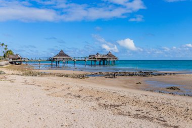 Noumea; Yeni Kaledonya: Yeni Kaledonya 'nın Noumea plajında öğleden sonra güneşinde dinlenen insanlar.