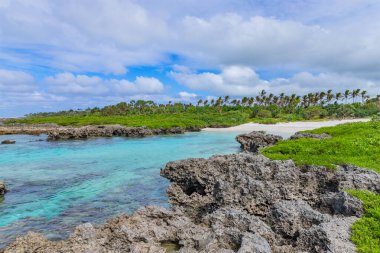 Vanuatu 'daki Efate Adası' nda sahil, Port Vila yakınlarında. Doğu kıyısında ünlü bir plaj.