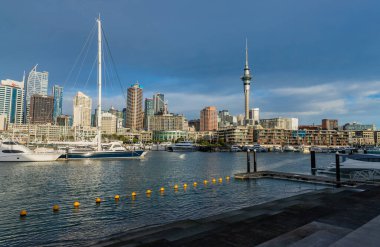Auckland, Yeni Zelanda: Arka planda Auckland City, Yeni Zelanda