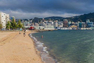 Wellington, Yeni Zelanda: Oriental Bay plajı, Pasifik Okyanusu kıyısı ve Yeni Zelanda 'nın başkenti Wellington şehri.