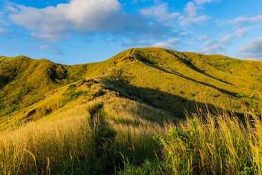 Nacula Adası bitki örtüsünün tepesi, Yasawa Adaları, Fiji, Güney Pasifik