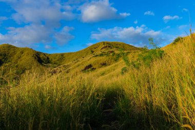 Nacula Adası bitki örtüsünün tepesi, Yasawa Adaları, Fiji, Güney Pasifik