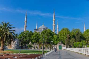 İstanbul, Türkiye: Arkaplanda Mavi Cami ile Parkta Yürüyen Adam