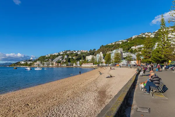 Wellington, Yeni Zelanda: Oriental Bay plajı, Pasifik Okyanusu kıyısı ve Yeni Zelanda 'nın başkenti Wellington şehri.