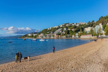 Wellington, Yeni Zelanda: Oriental Bay plajı, Pasifik Okyanusu kıyısı ve Yeni Zelanda 'nın başkenti Wellington şehri.