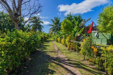 Path in a small village in Viti Levu island, Fiji clipart