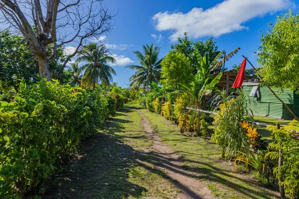 Caminho Uma Pequena Aldeia Ilha Viti Levu Fiji — Fotografia de Stock