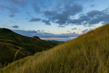 Nacula Adası bitki örtüsünün tepesi, Yasawa Adaları, Fiji, Güney Pasifik