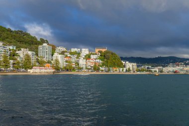 Wellington, Yeni Zelanda: Wellington, Oriental Bay, Yeni Zelanda manzarası.