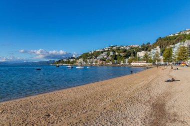 Wellington, Yeni Zelanda: Oriental Bay plajı, Pasifik Okyanusu kıyısı ve Yeni Zelanda 'nın başkenti Wellington şehri.