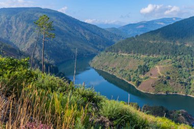 Su deposu Grandas de Salime, Camino de Santiago iz, Asturias, İspanya boyunca güzel manzara yakın