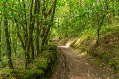 Camino de Santiago yolu boyunca uzanan manzara Grandas de Salime ve Fonsagrada, Asturias, İspanya