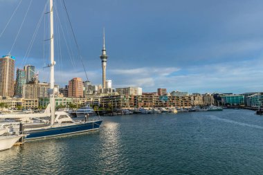 Auckland, Yeni Zelanda: Arka planda Auckland City, Yeni Zelanda