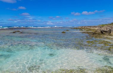 Vanuatu 'daki Efate Adası' nda sahil, Port Vila yakınlarında. Doğu kıyısında ünlü bir plaj.