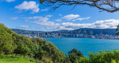 Wellington 'ın manzarası, binalar ve yamaçtaki evler. Yeni Zelanda.