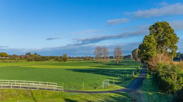 Landelijk Landschap Wellington Het Noordereiland Van Nieuw Zeeland — Stockfoto